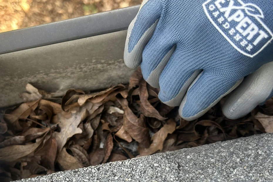 Gutter Cleaning Campville