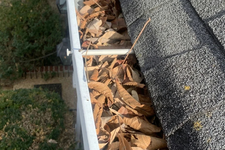 Gutter Cleaning Campville